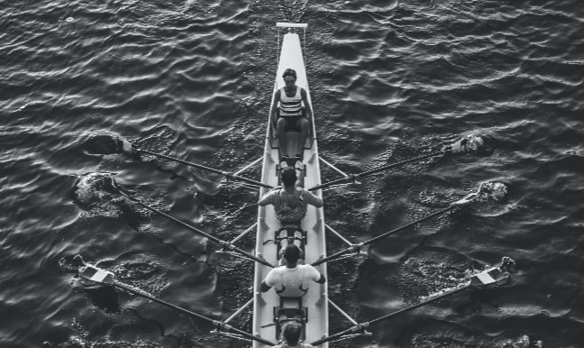 Purpose-Driven & Pro-Bono Work